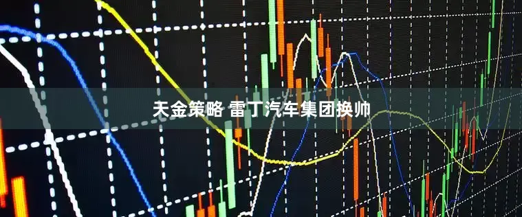 天金策略 雷丁汽车集团换帅