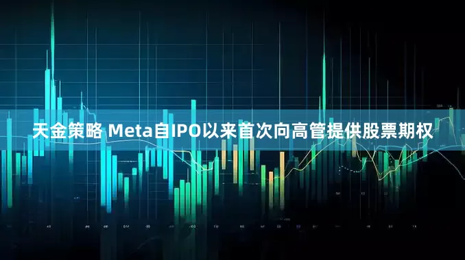天金策略 Meta自IPO以来首次向高管提供股票期权